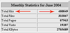 statistike web stranica - Hits